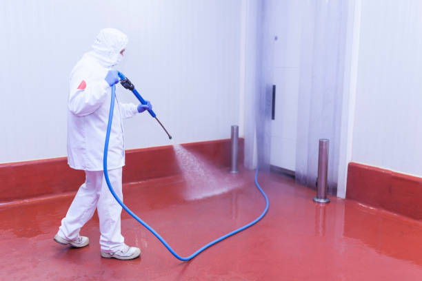 Best Paint Preparation  in Trenton, MO