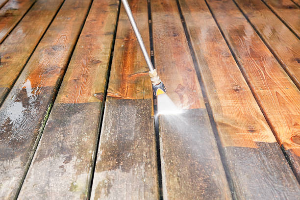 Best Dumpster Area Cleaning  in Trenton, MO